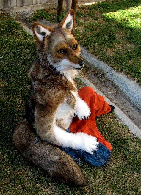 amazon fursuit|amazon realistic coyote fursuits.